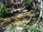 creek-bed-800-some-water.jpg (117574 bytes)