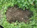 ValleyPocketGopherMound2.jpg (84985 bytes)